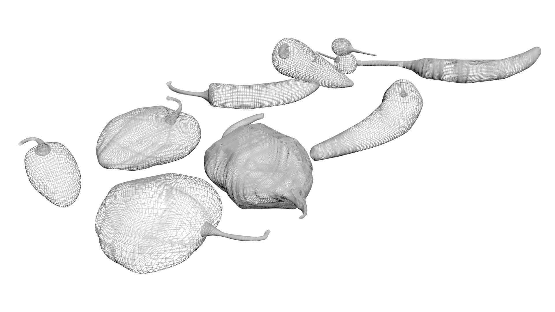 Chili Peppers Set 3D model_12