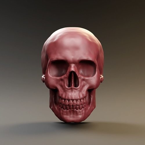 Skull 3D print model