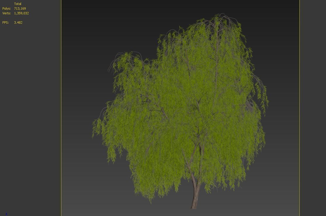 Weeping Willow 2 3D model_7