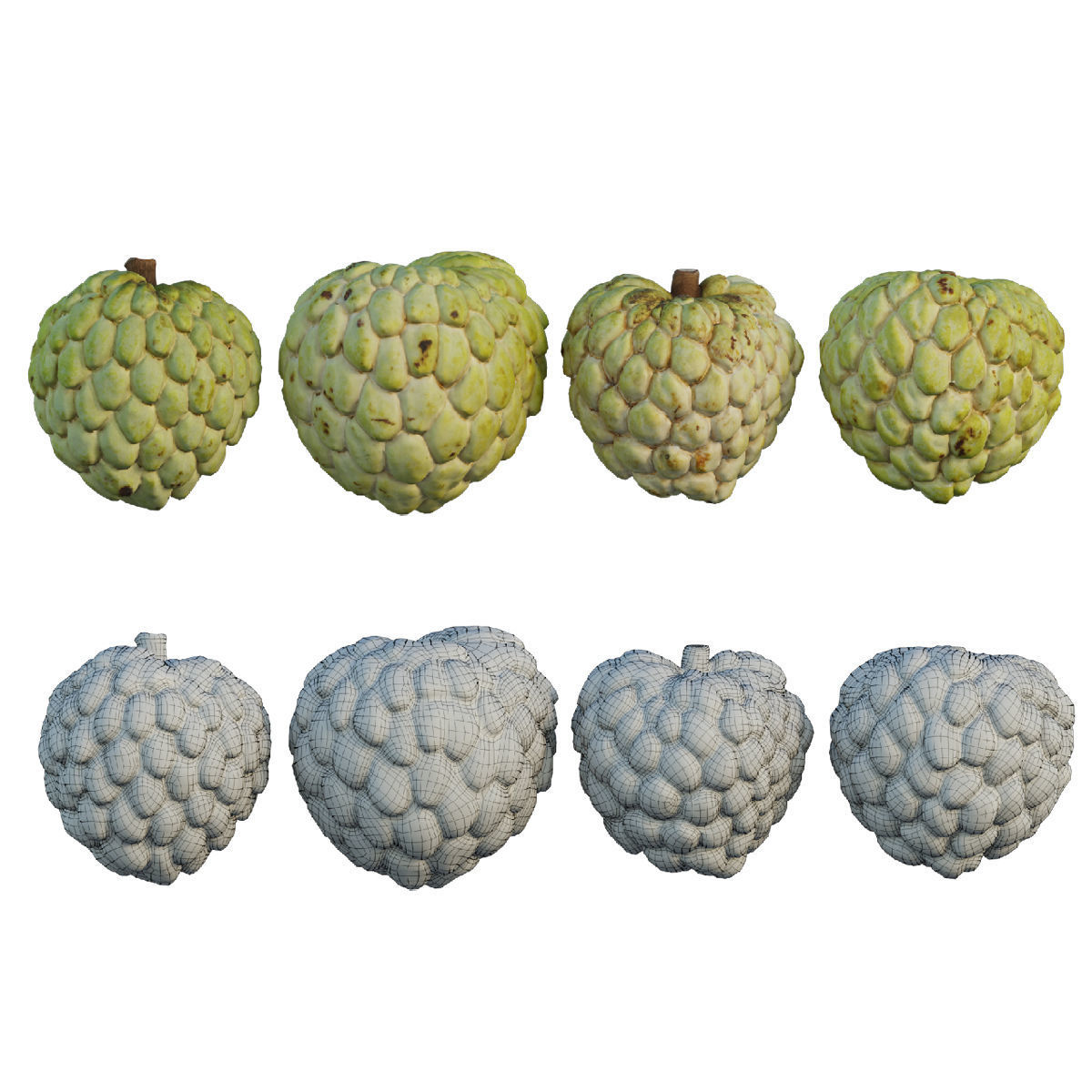 Annona squamosa 04 3D model_1