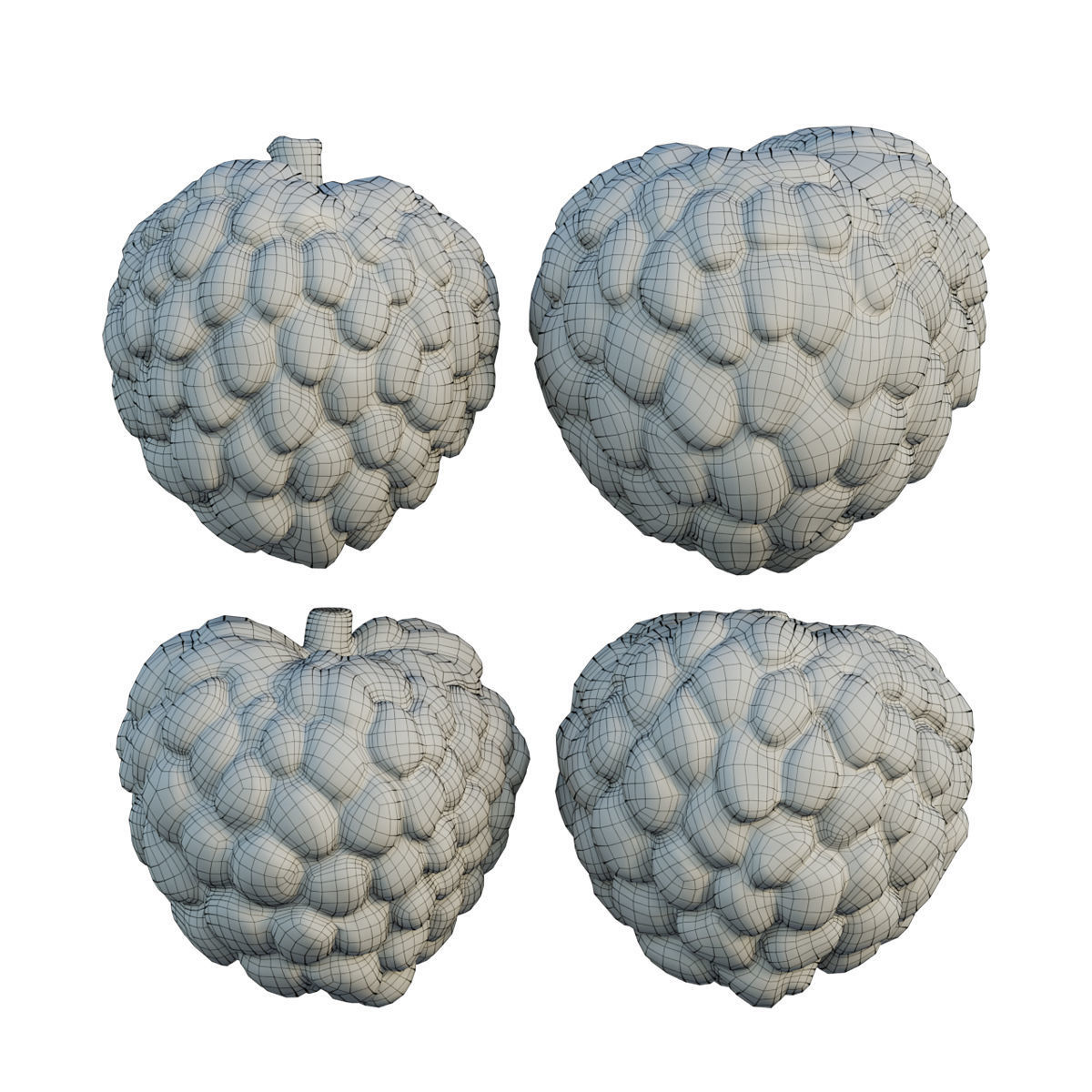 Annona squamosa 04 3D model_7