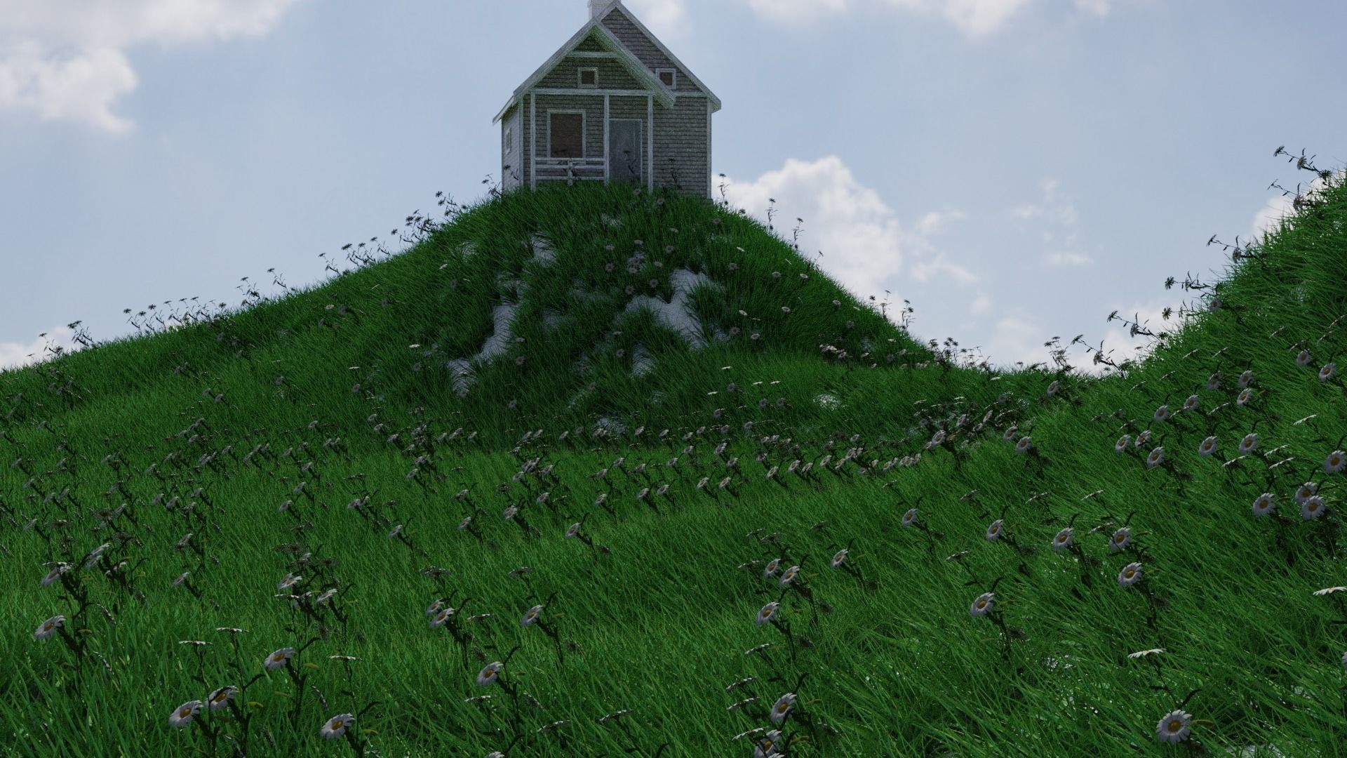 Natural grass on mountains 3D model_7