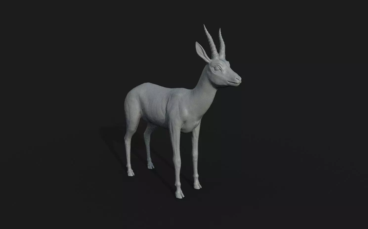 Gazelle antelope 3D model_0