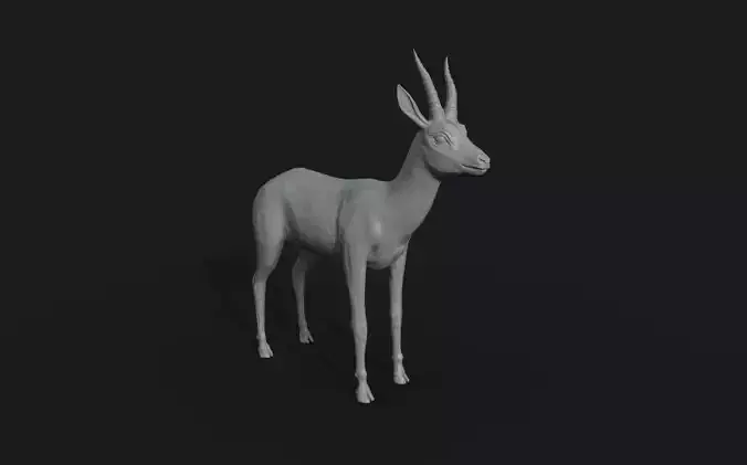 Gazelle antelope