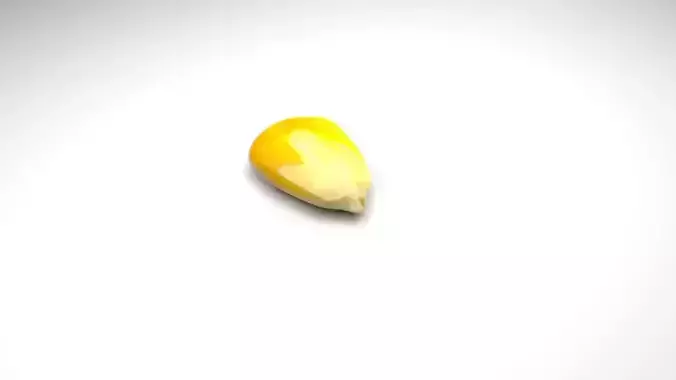 Corn Kernel 3D model