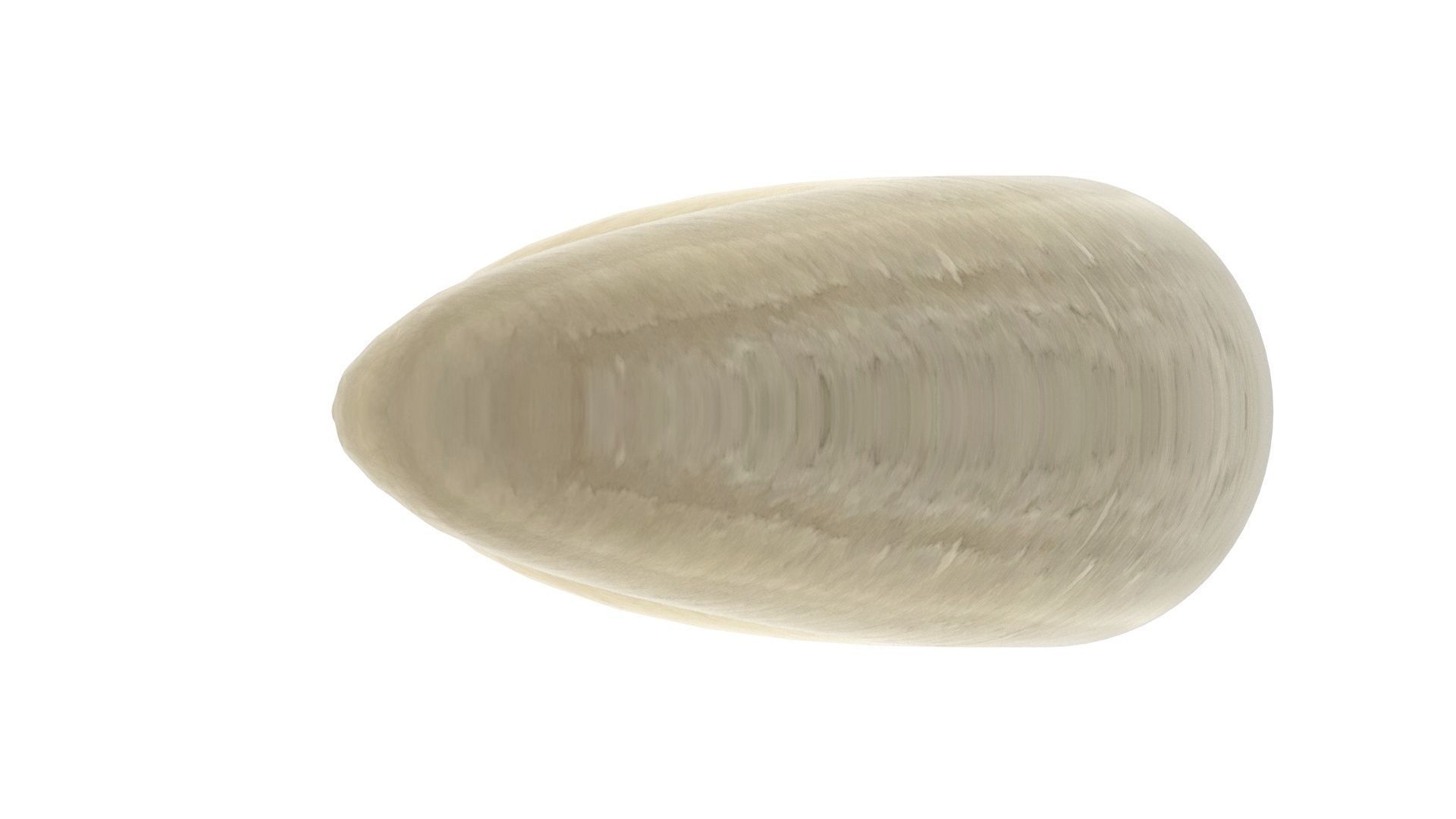 Skinless Banana 3D model_16