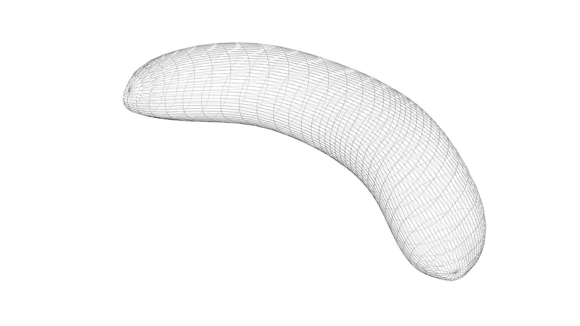 Skinless Banana 3D model_20