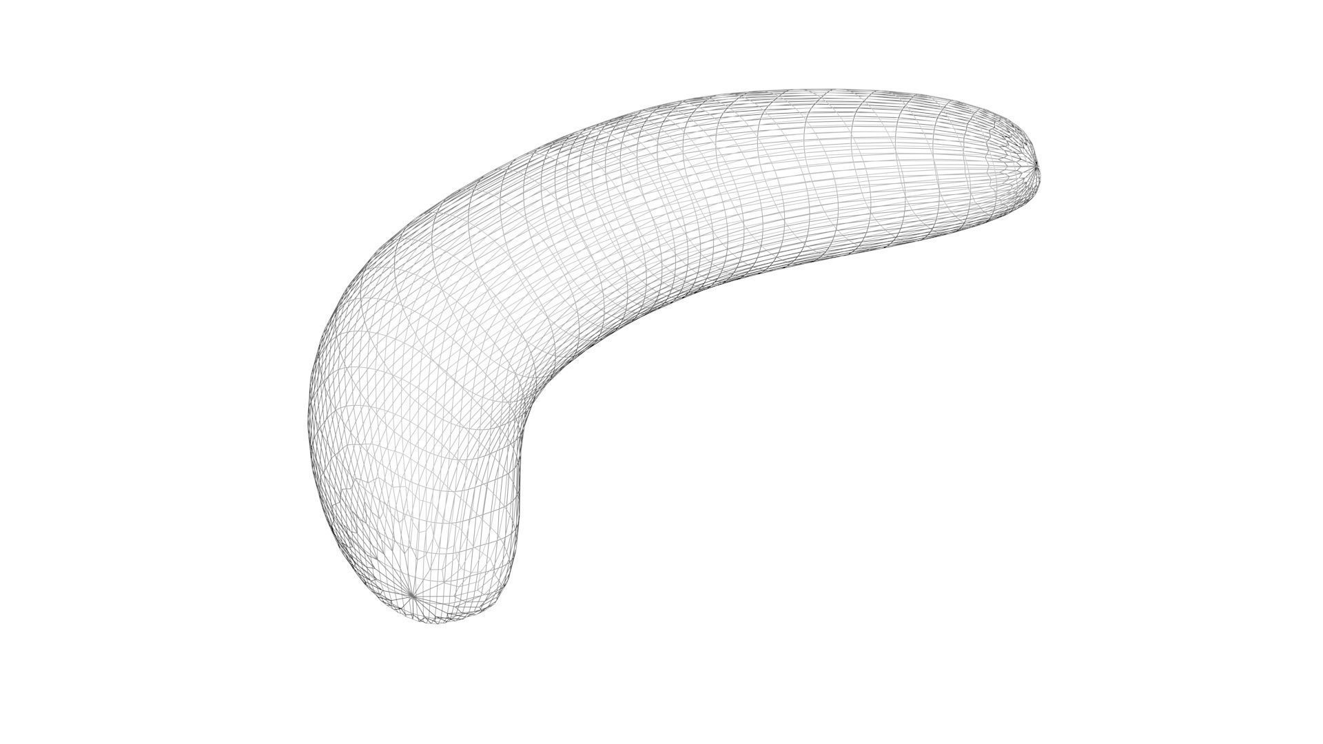 Skinless Banana 3D model_19