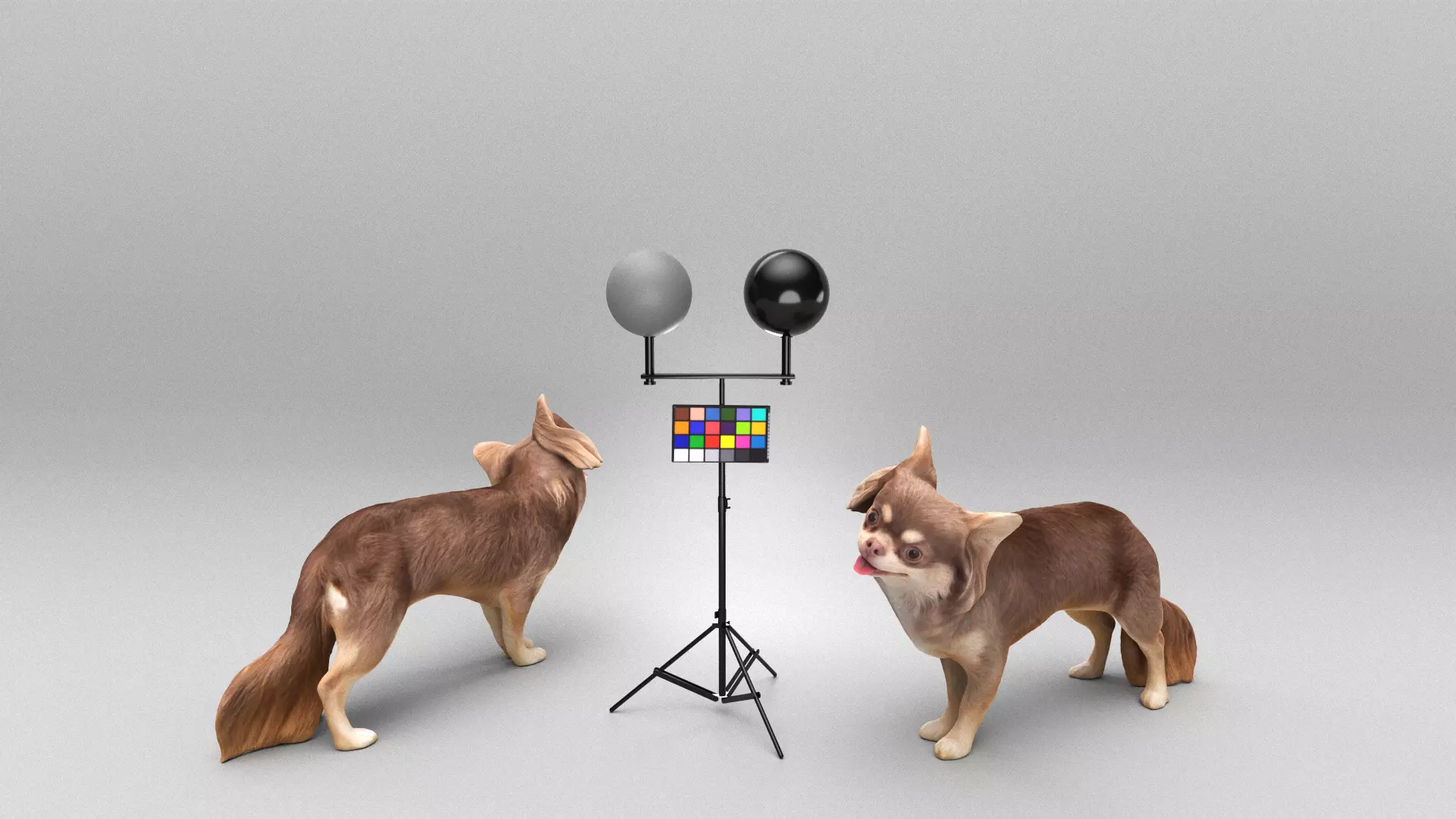 Funny dog 29 Low-poly 3D model_0