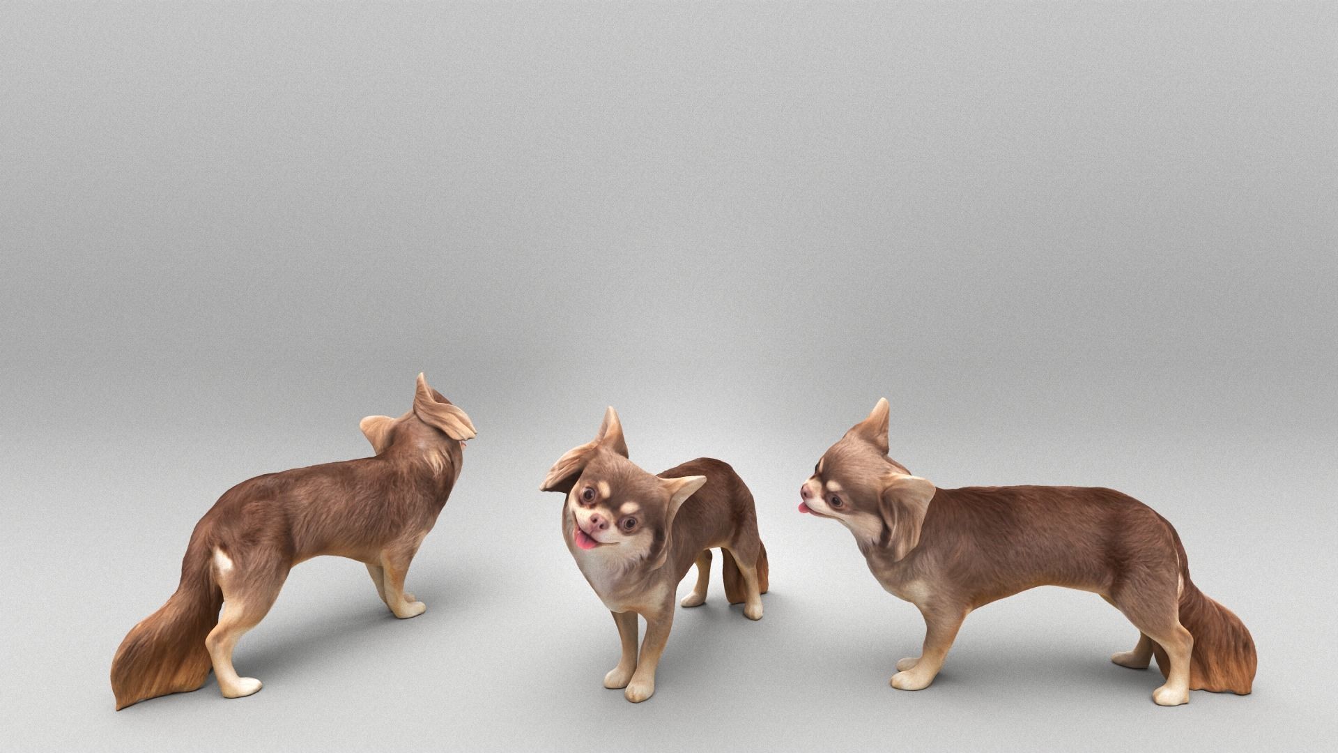 Funny dog 29 Low-poly 3D model_3
