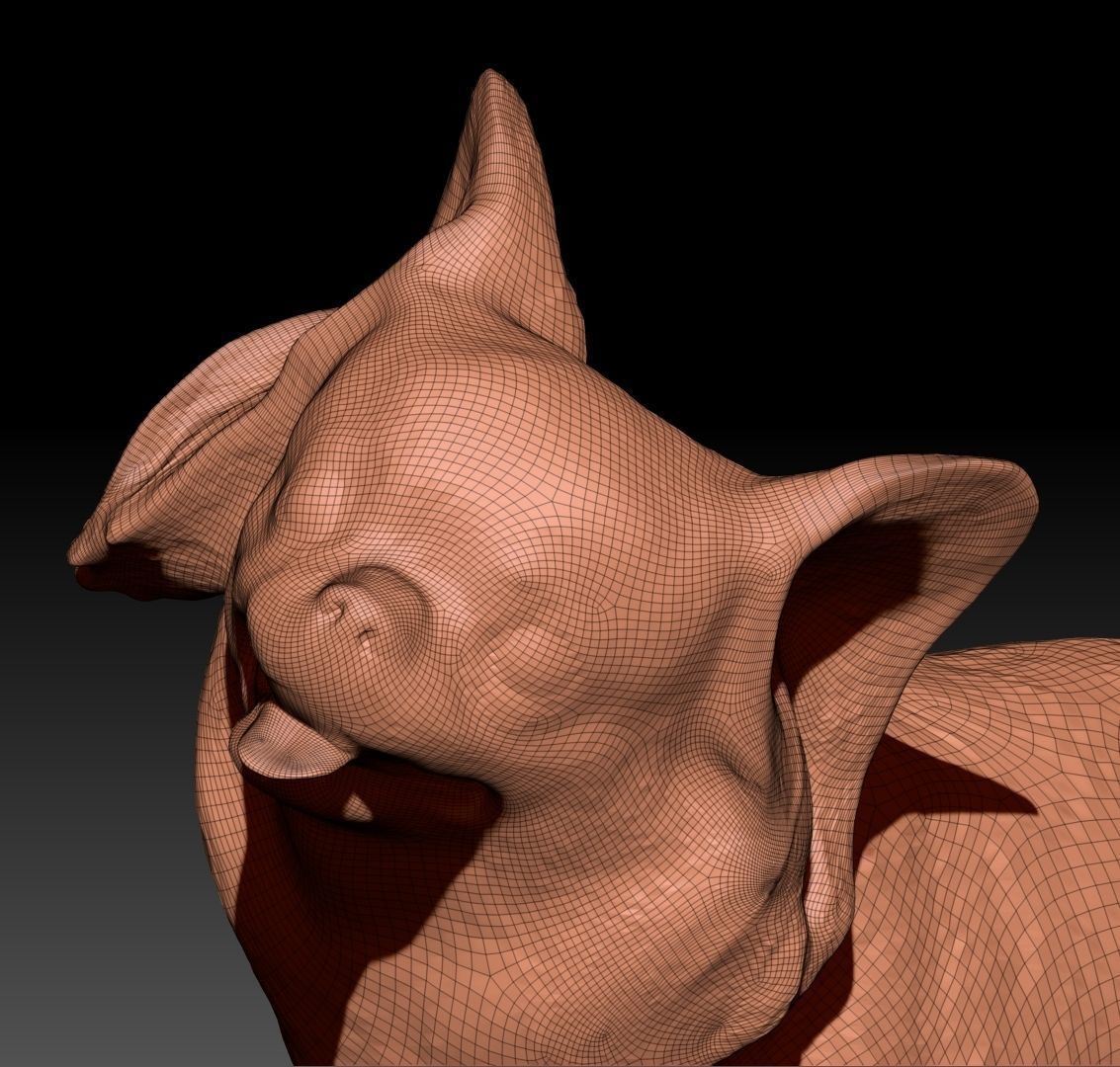 Funny dog 29 Low-poly 3D model_8