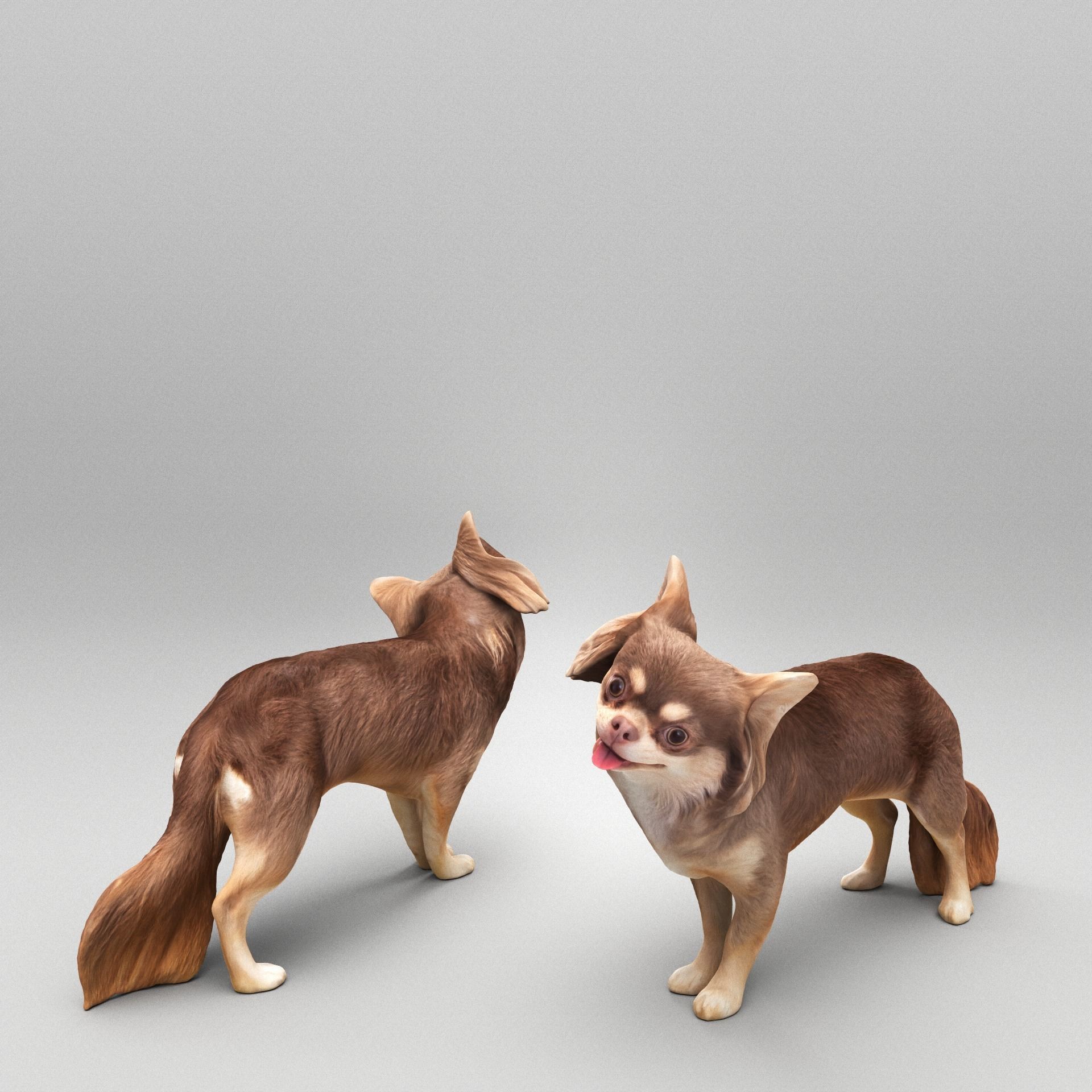 Funny dog 29 Low-poly 3D model_2