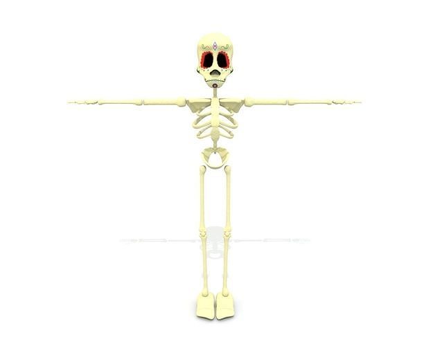 Bones character Rigged for Maya 3D Model and Animation 3D model