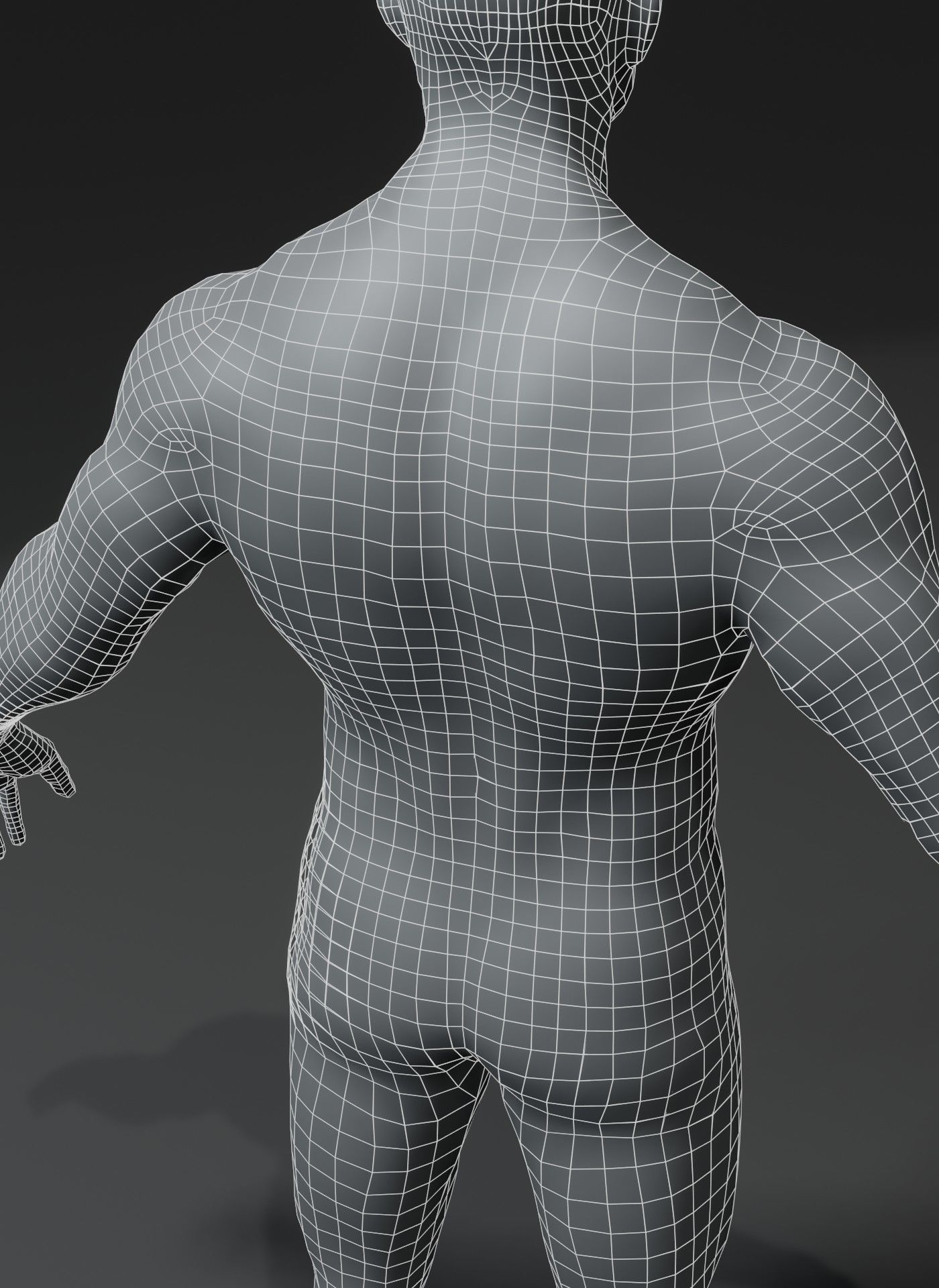 Male Female Body Base Mesh 28 Animations 3D Model 10k Polygons Low-poly 3D model_38