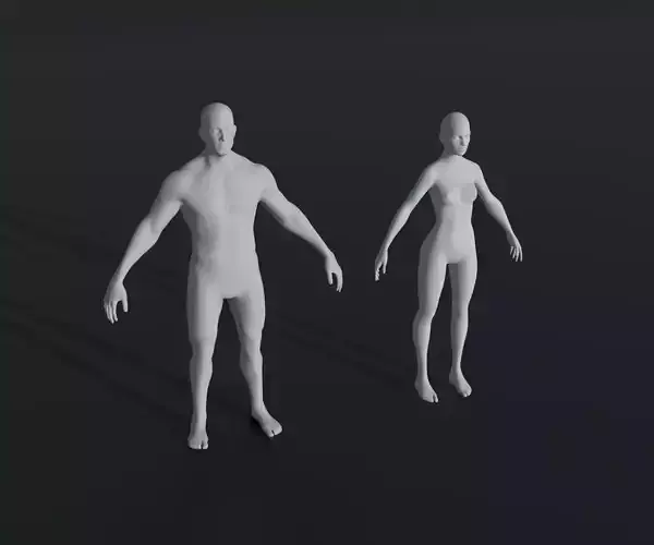 Male Female Body Base Mesh 28 Animations 3D Model 10k Polygons Low-poly 3D model