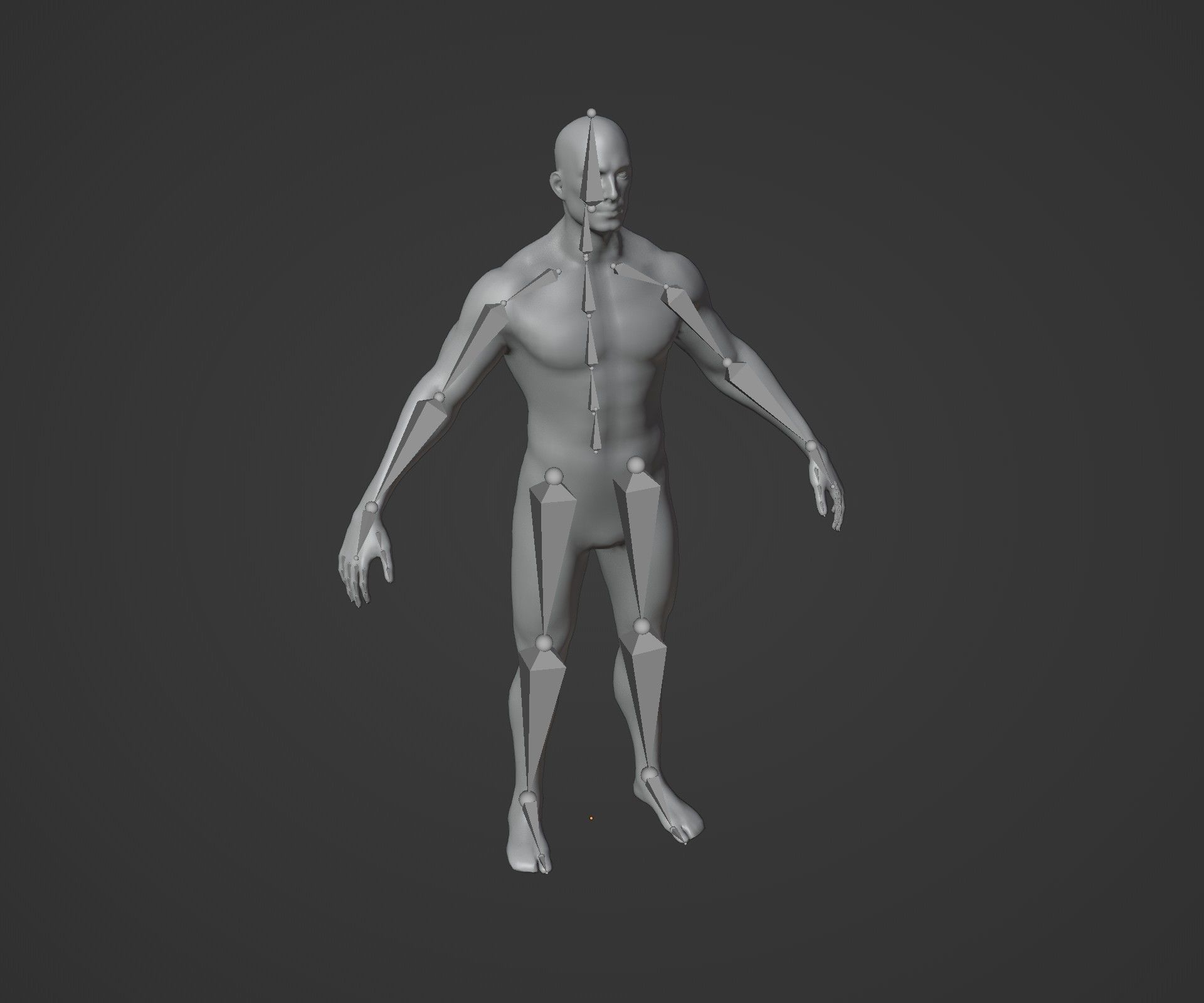 Male Female Body Base Mesh 28 Animations 3D Model 10k Polygons Low-poly 3D model_26