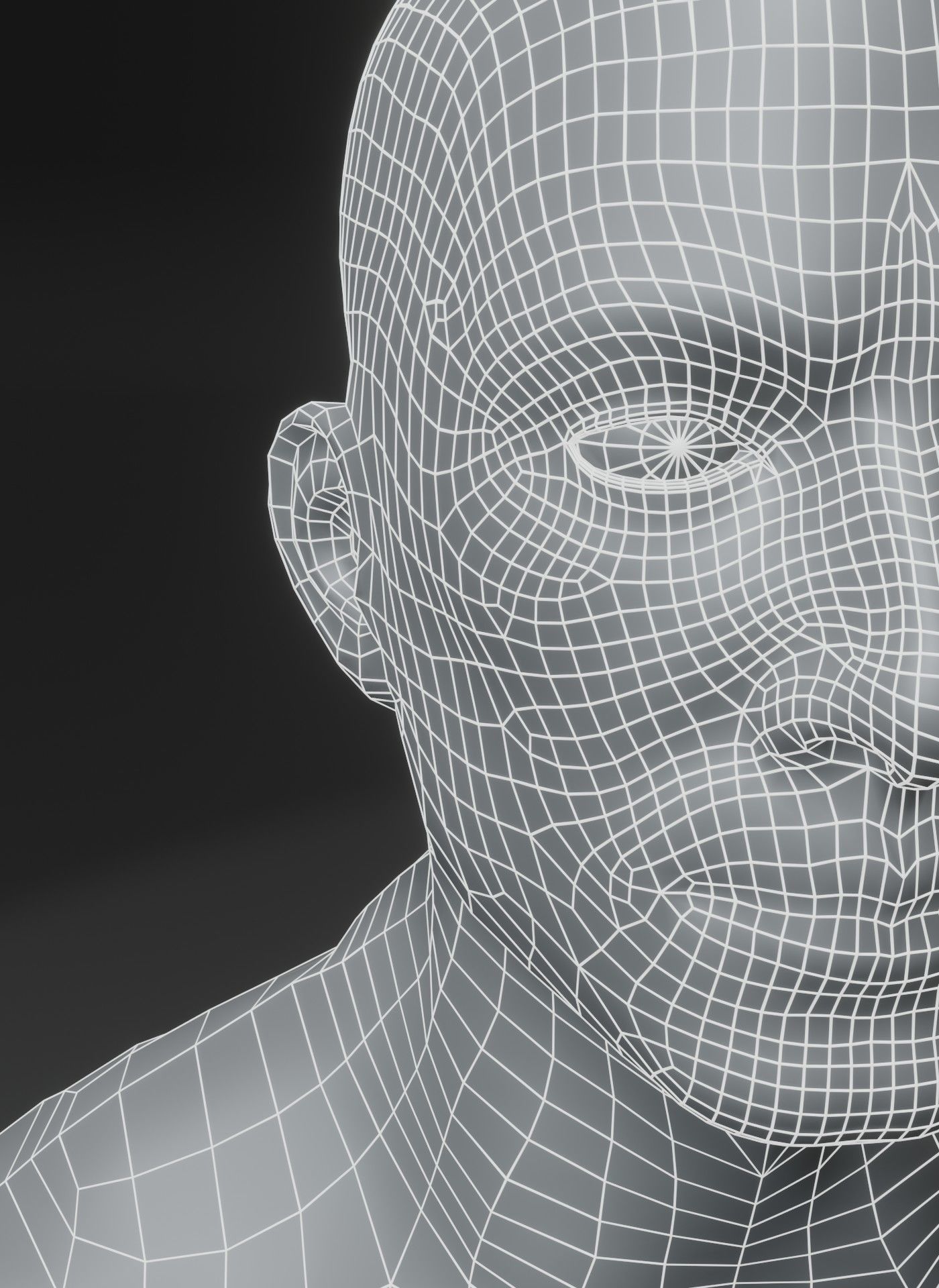 Male Female Body Base Mesh 28 Animations 3D Model 10k Polygons Low-poly 3D model_34