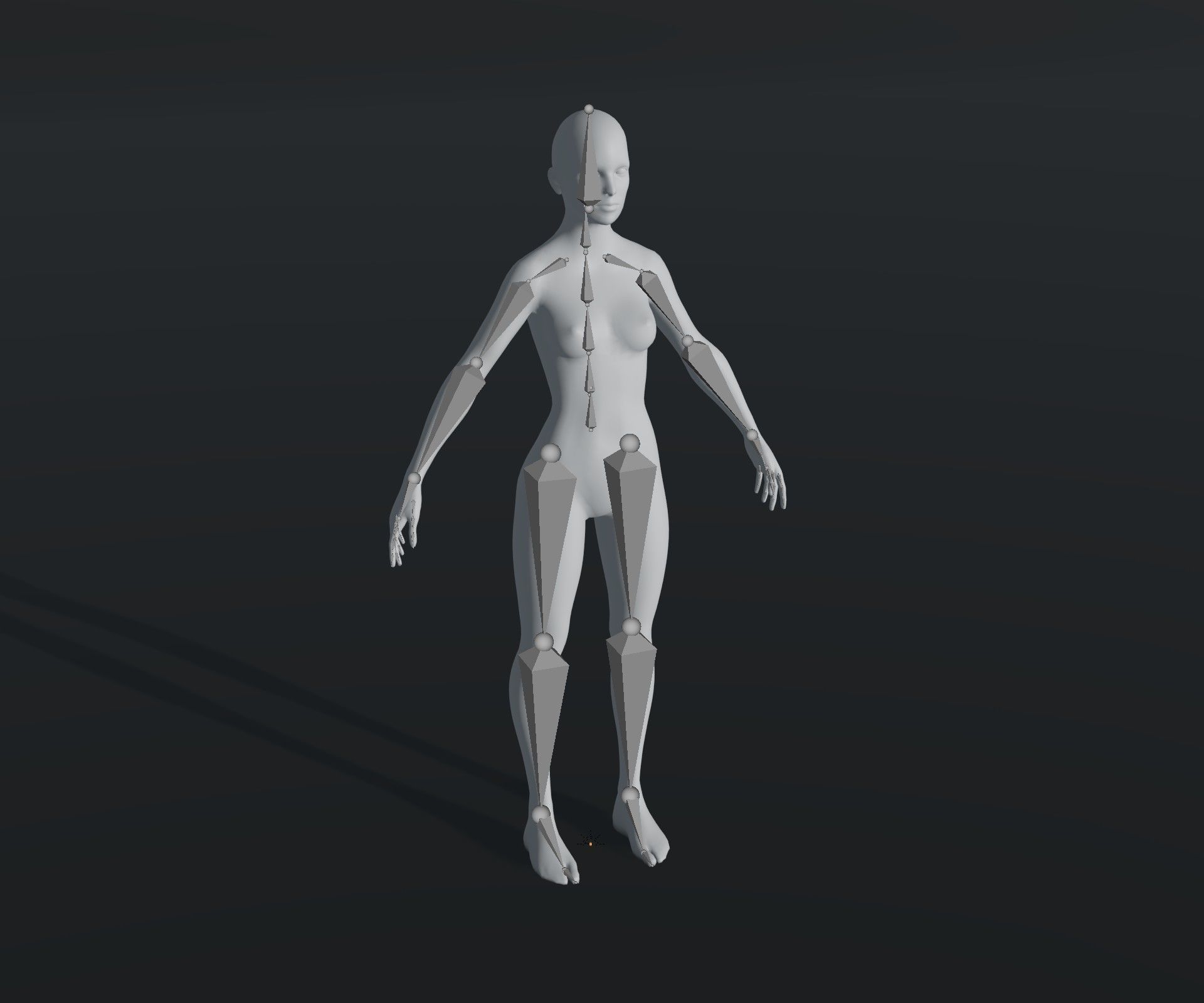 Male Female Body Base Mesh 28 Animations 3D Model 10k Polygons Low-poly 3D model_7
