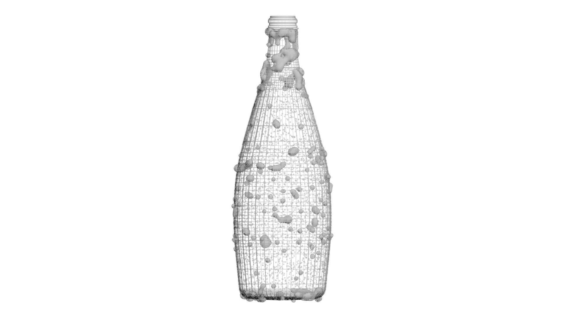Perrier Water Bottle 3D model_42