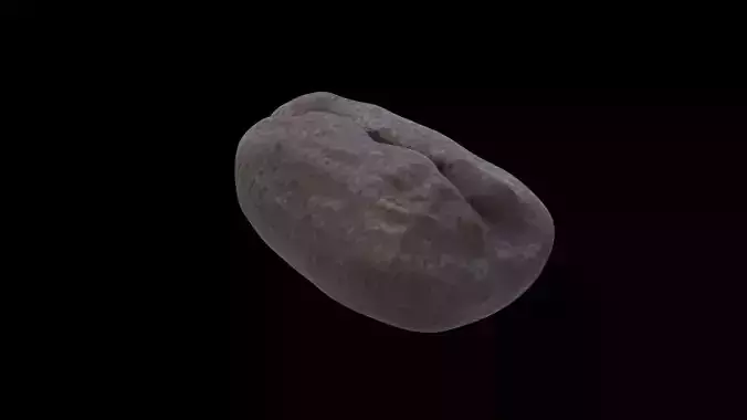 Coffee Bean 3D model