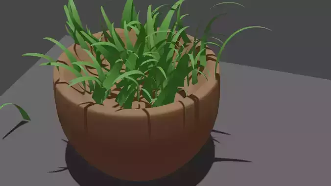 Flower Pot