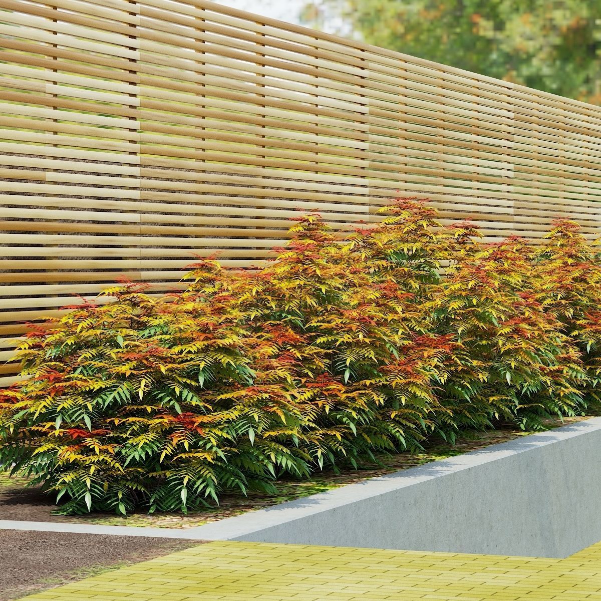 Sorbaria sorbifolia 3D model_7