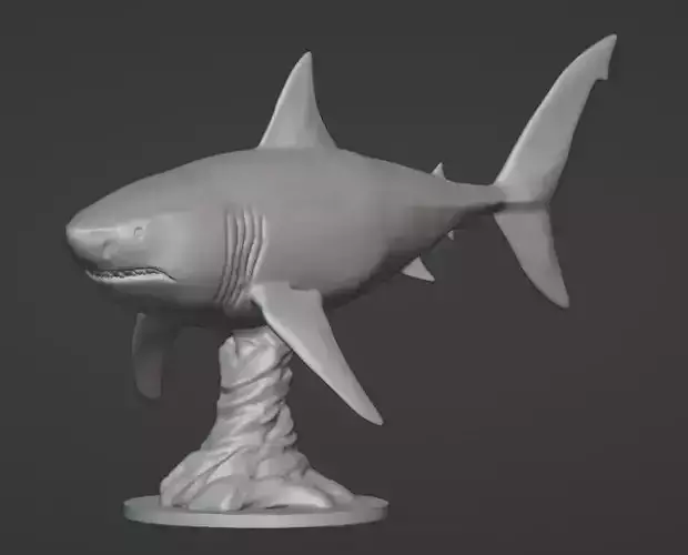 Shark Display 3D print model