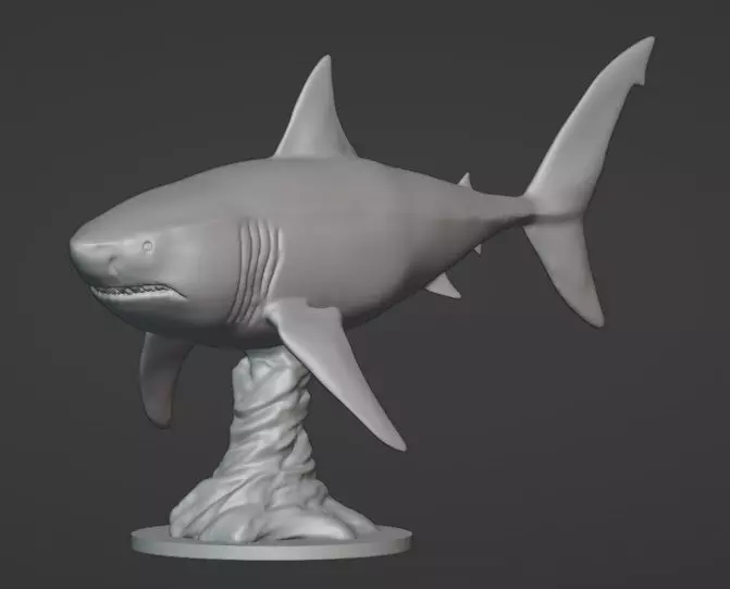 Shark Display 3D print model