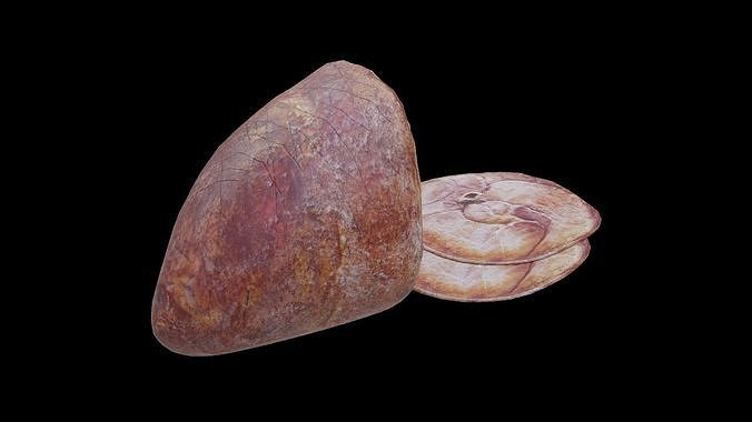Ham Pork Food Low-poly 3D model 5