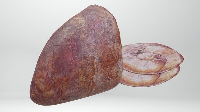 Ham Pork Food Low-poly 3D model 7