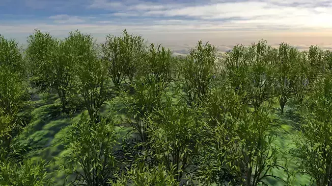 Forest Mountain Low-poly 3D model