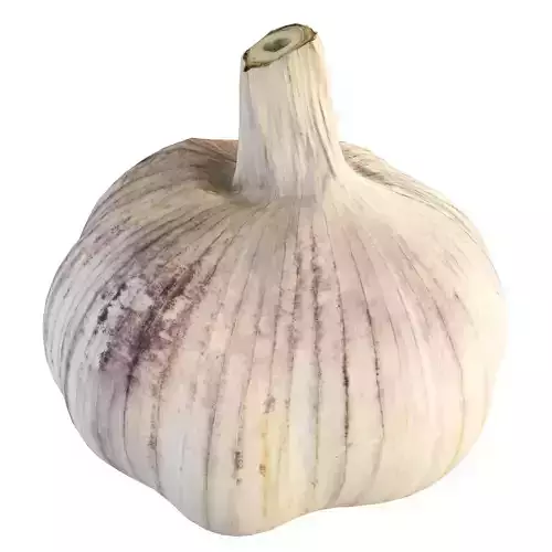 4k Garlic 2 top clove 3D model
