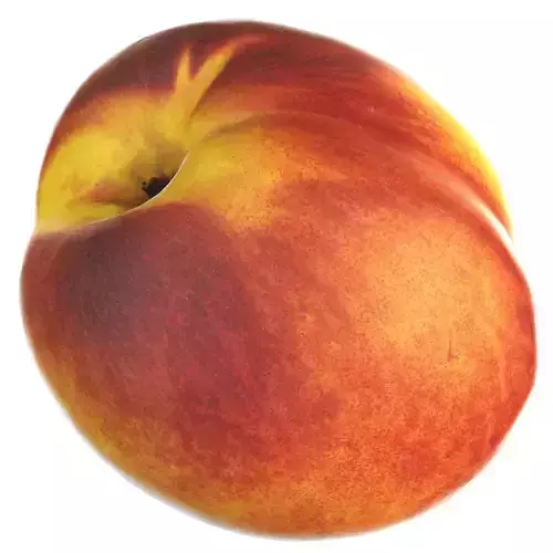 4k nectarine peach 3D model