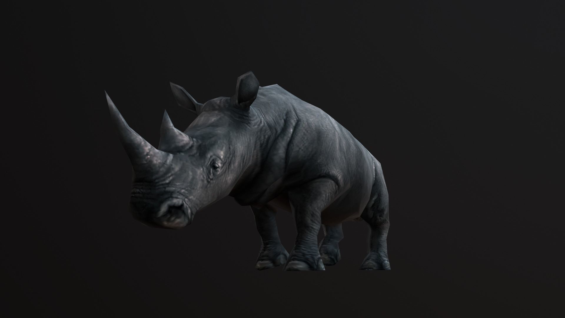 low-poly animated rhinoceros rhino Low-poly 3D model_8