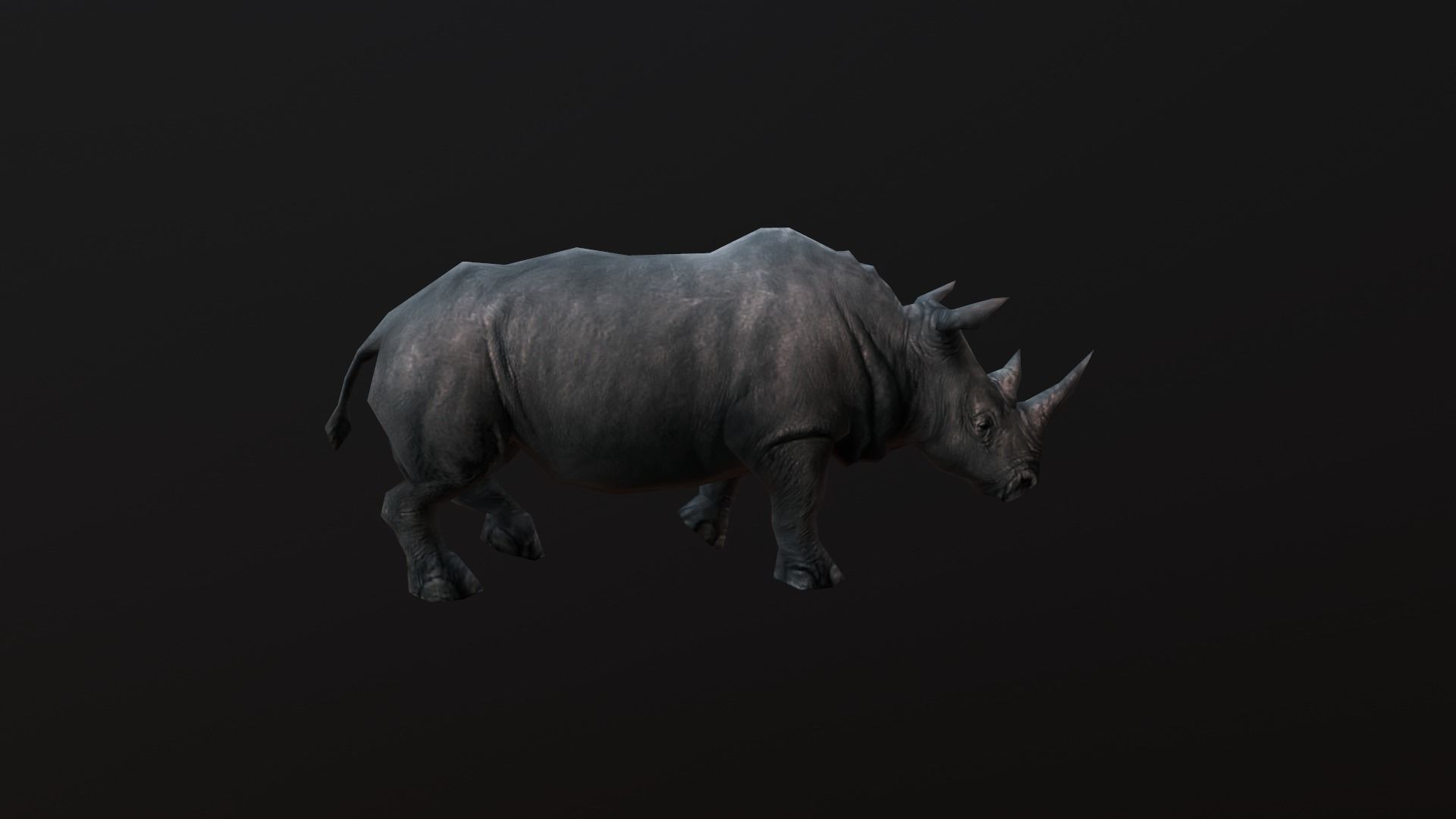 low-poly animated rhinoceros rhino Low-poly 3D model_6
