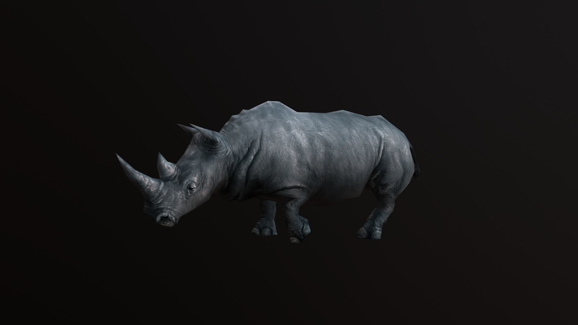 low-poly animated rhinoceros rhino Low-poly 3D model_4