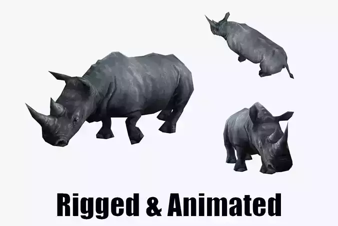 low-poly animated rhinoceros rhino Low-poly 3D model