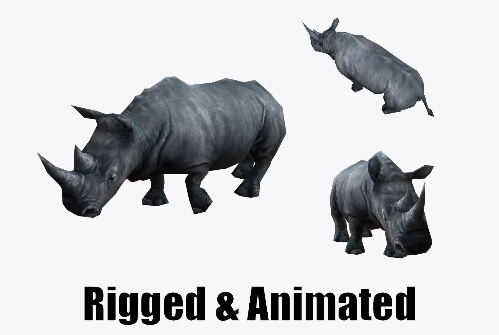low-poly animated rhinoceros rhino Low-poly 3D model_0