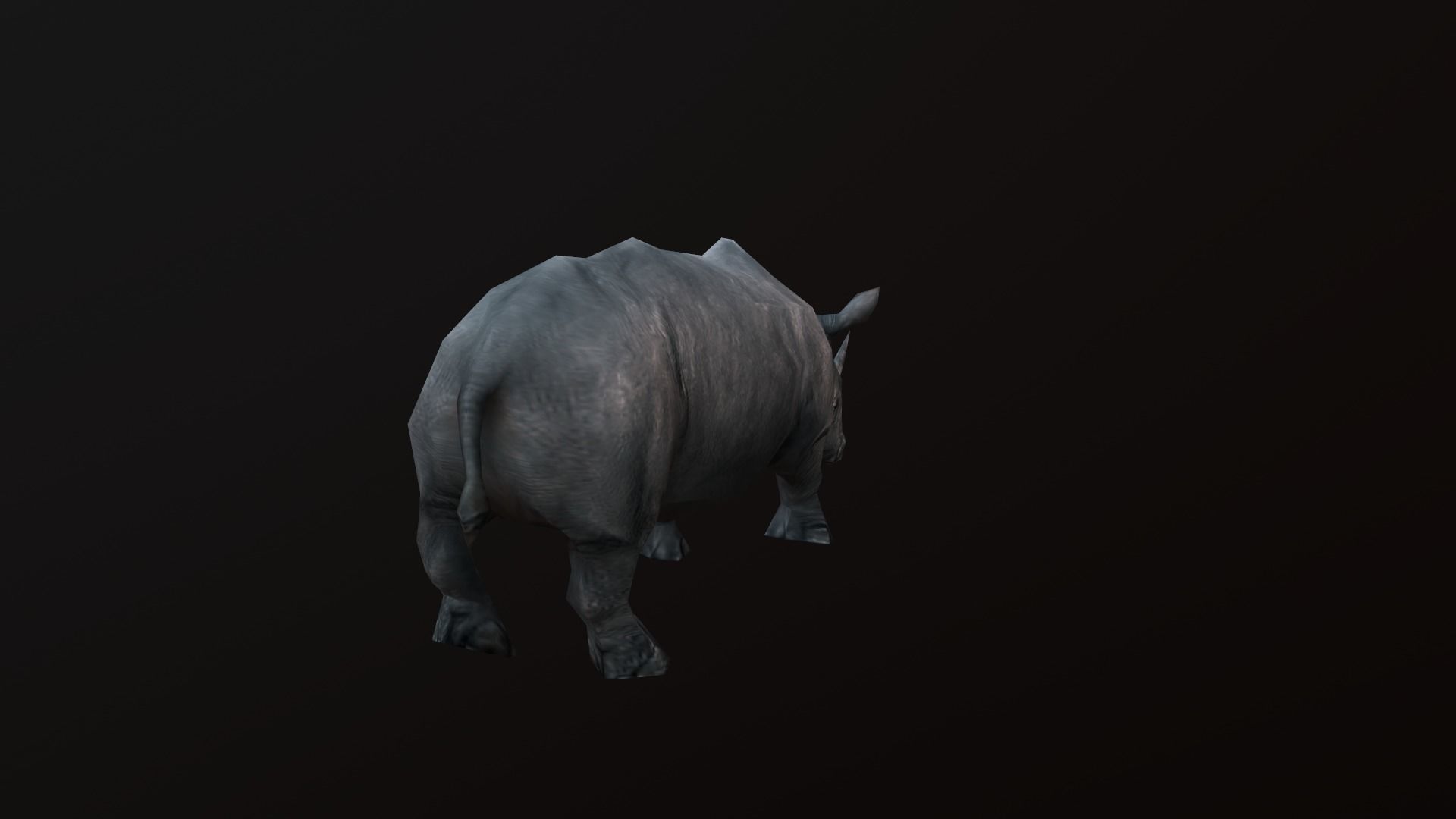 low-poly animated rhinoceros rhino Low-poly 3D model_5