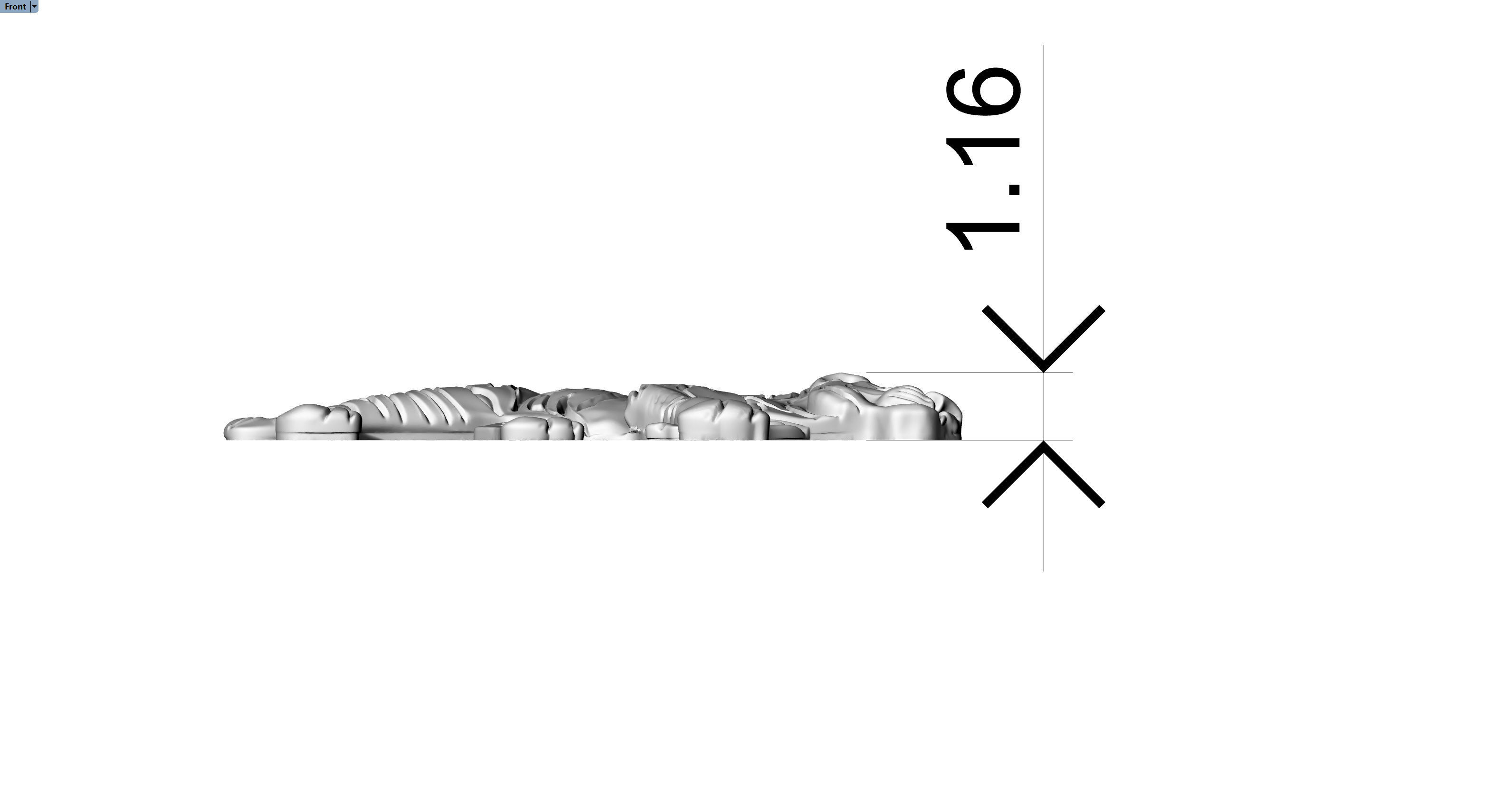 Tiger basrelief 3D print model_2