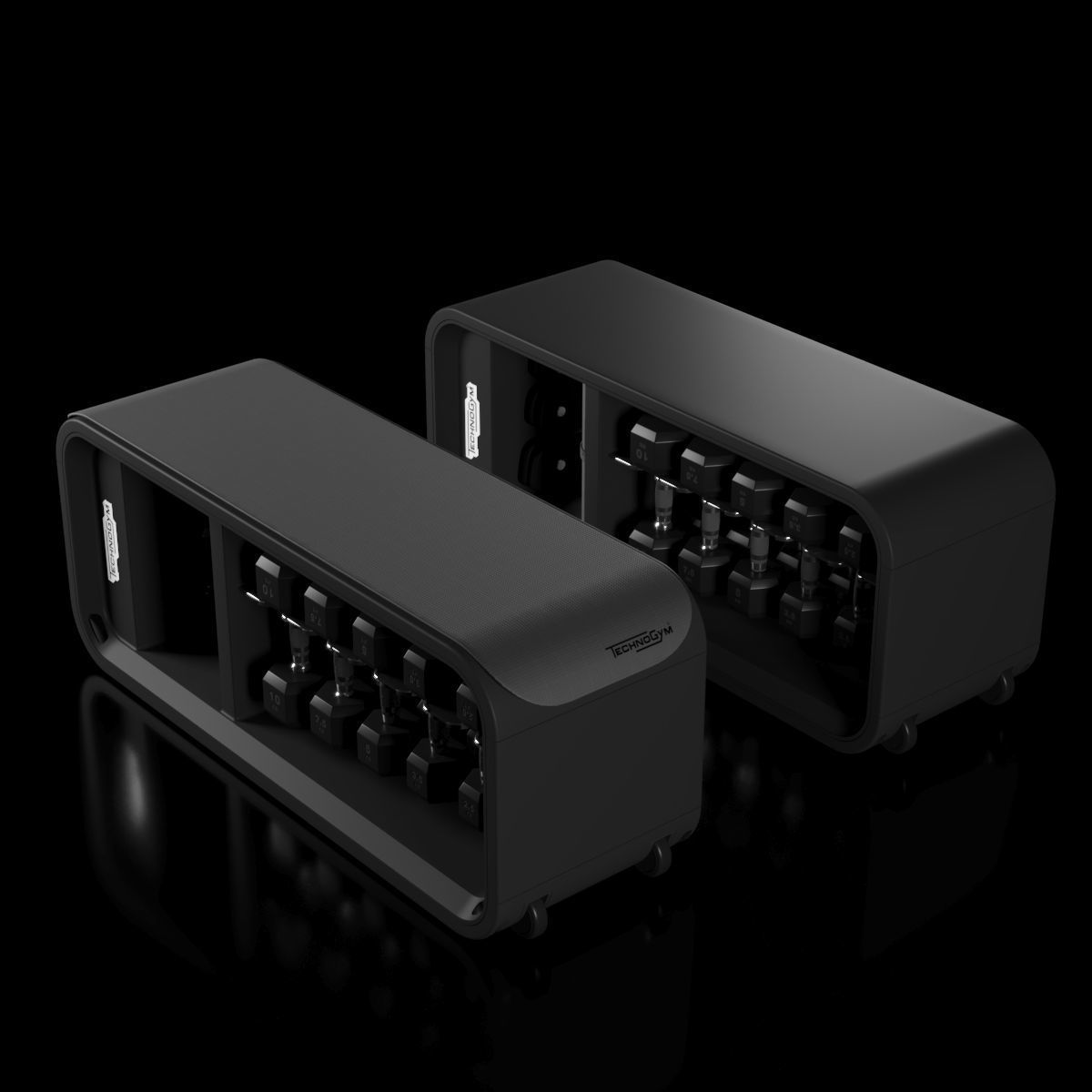 Technogym Skill Bench 3D model_2