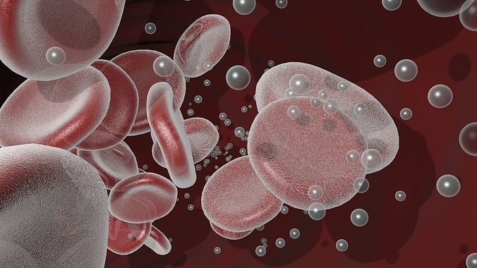 Animated Blood Vessels Segment 3D model