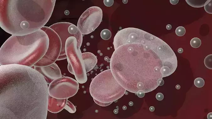 Animated Blood Vessels Segment 3D model