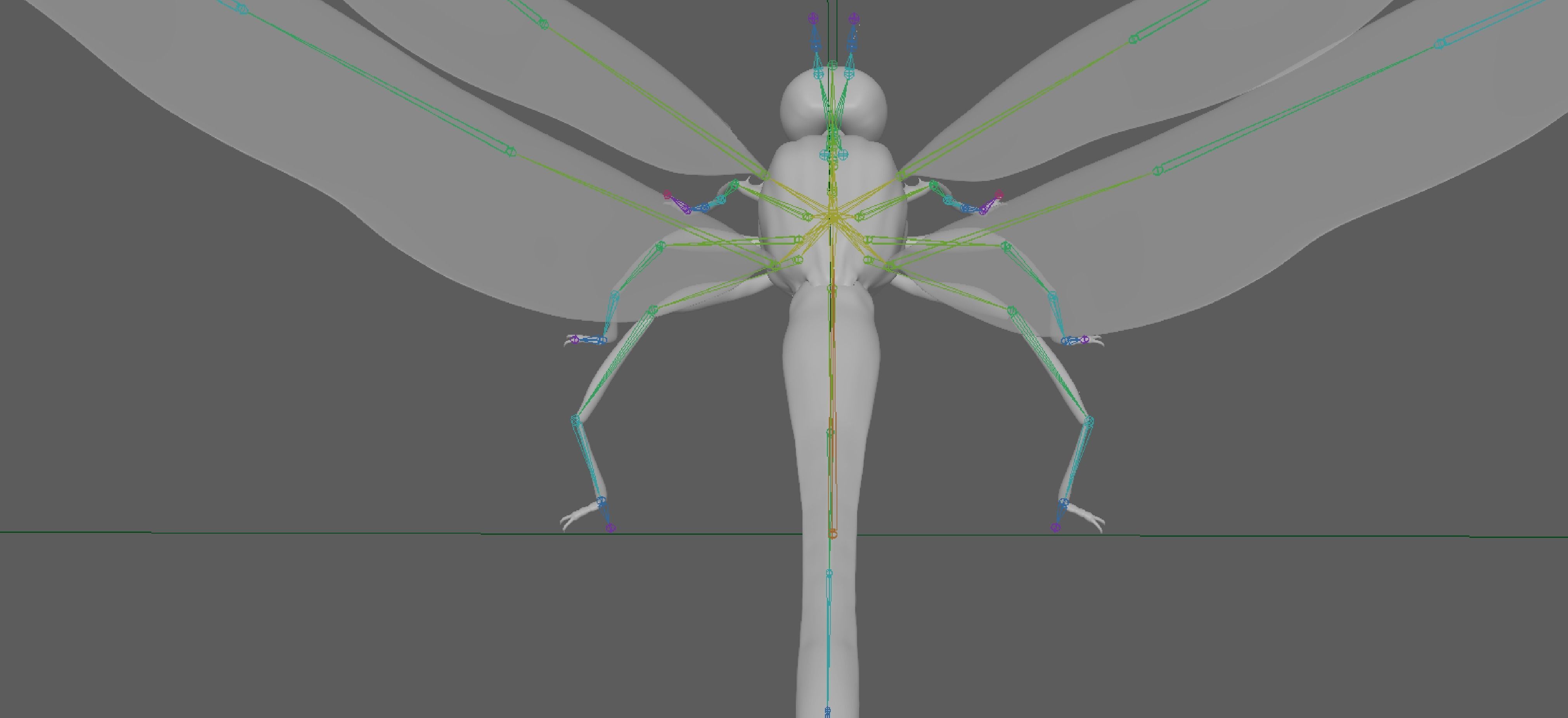 Dragonfly 3D model_12