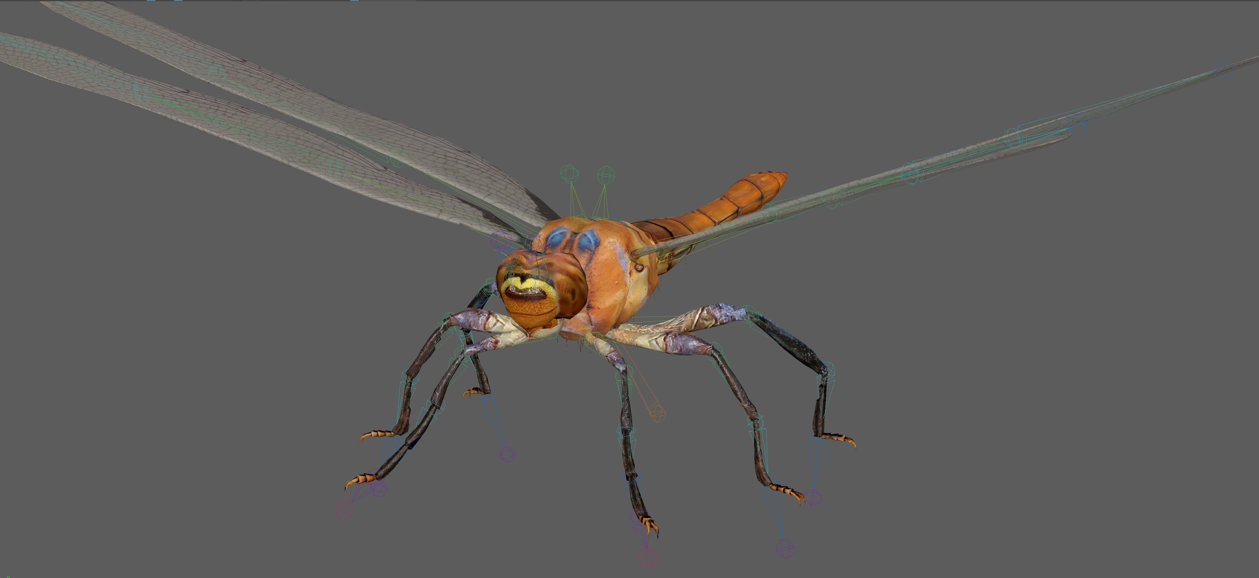 Dragonfly 3D model_9