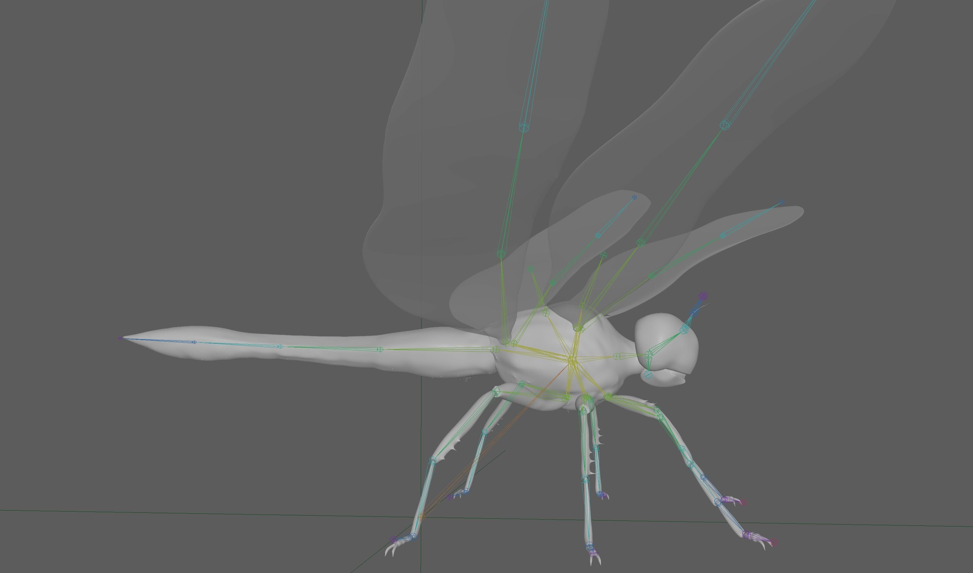 Dragonfly 3D model_19