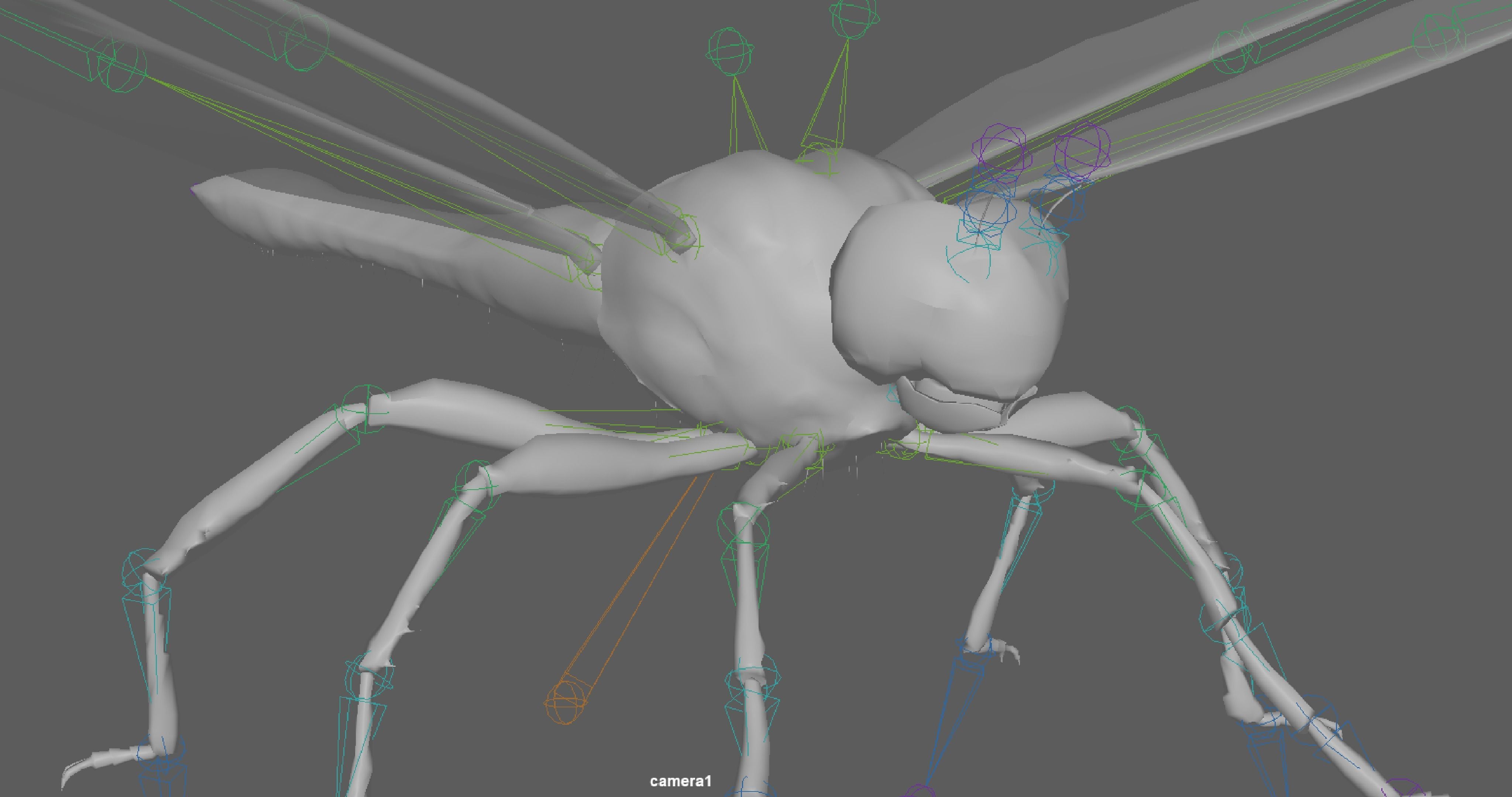 Dragonfly 3D model_13