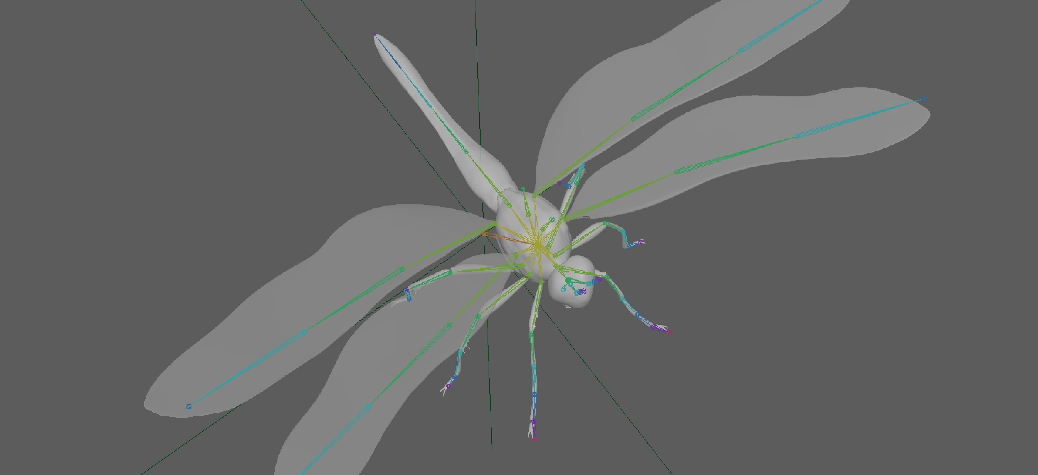 Dragonfly 3D model_11