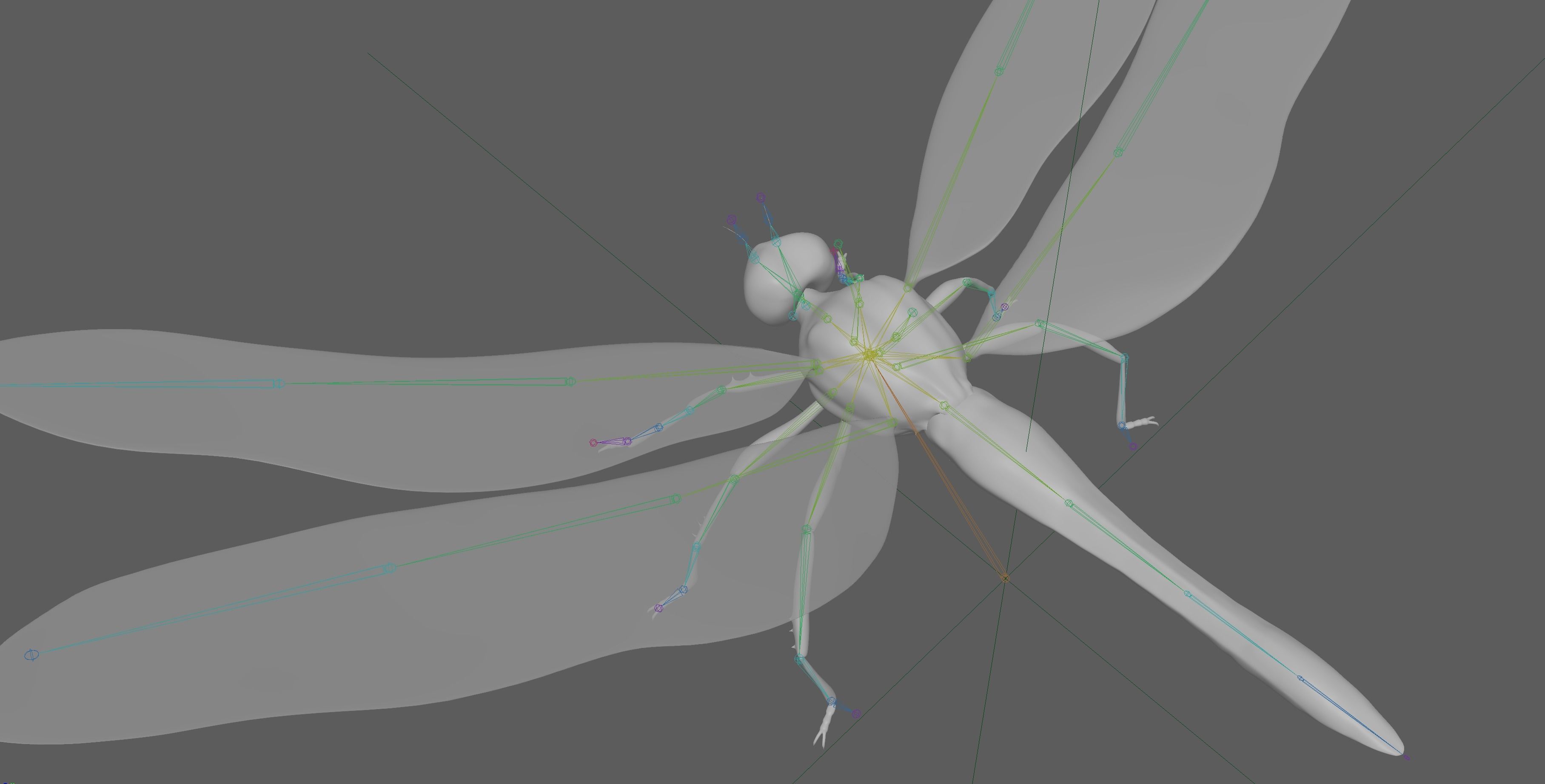 Dragonfly 3D model_21