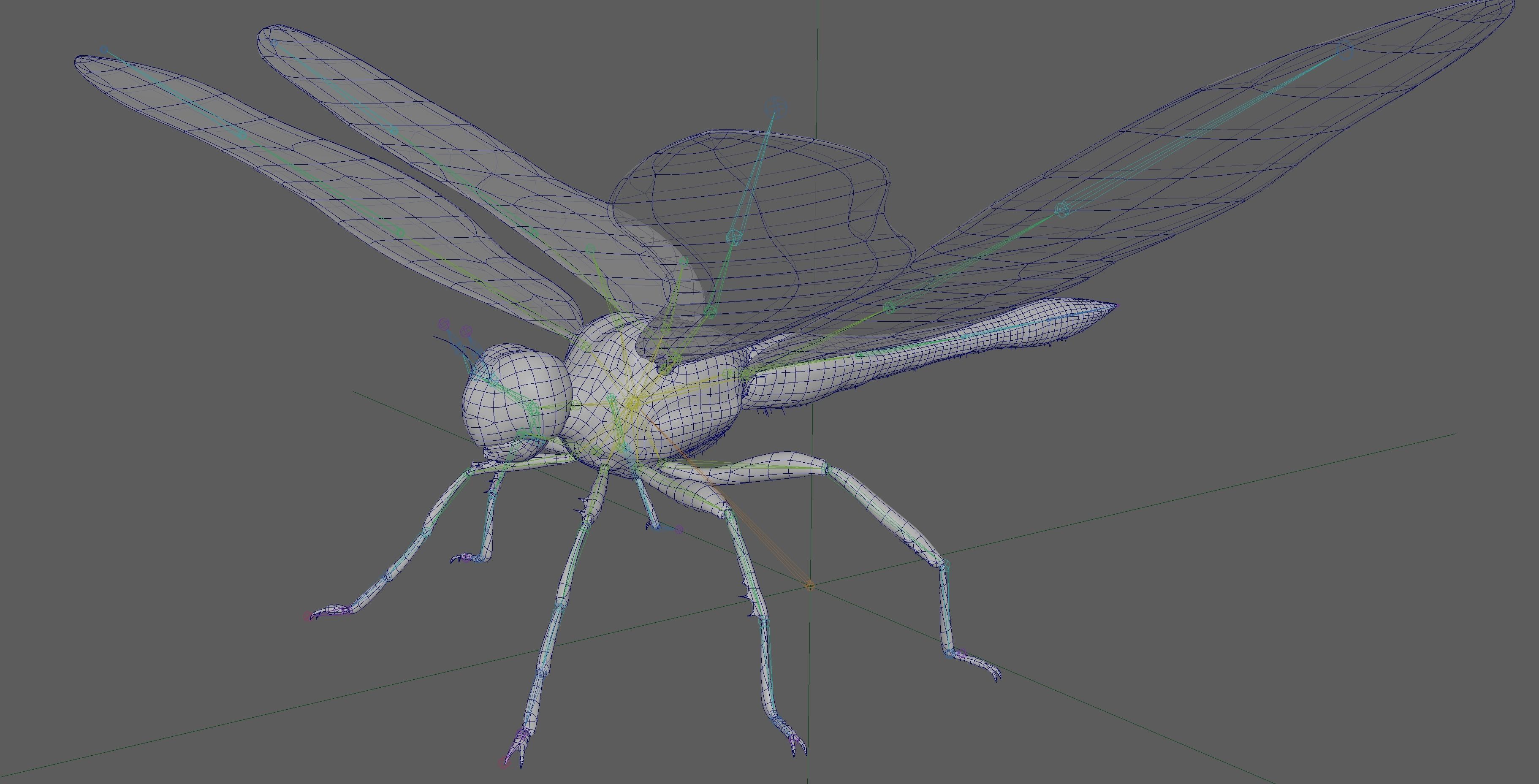 Dragonfly 3D model_14